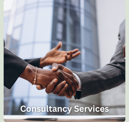 Consultancy Services (1)